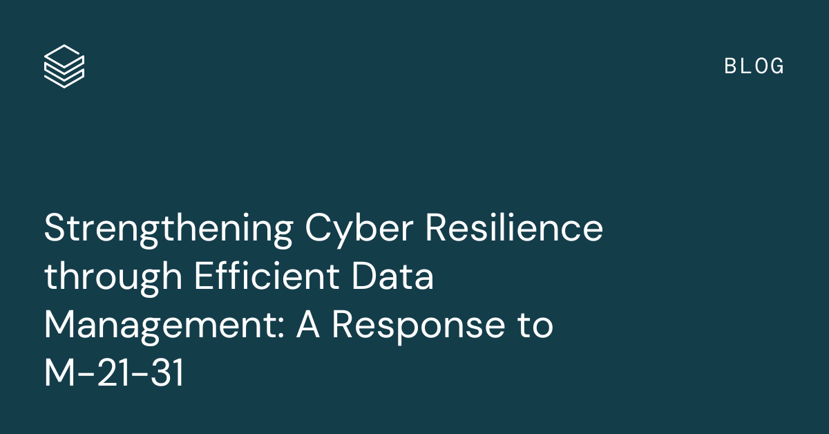 Strengthening Cyber Resilience through Efficient Data Management: A Response to M-21-31
